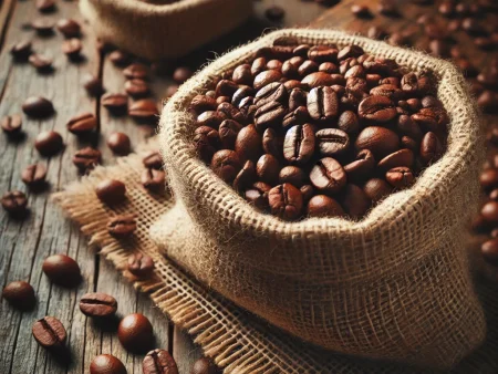 羅布斯塔咖啡豆