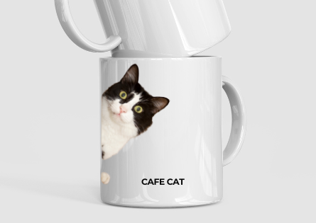 貓咪咖啡杯(賓士貓)